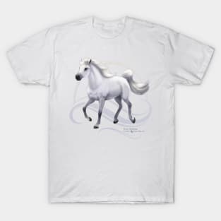 Grey Arabian Horse T-Shirt